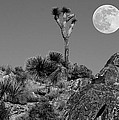 Full Moon over the Desert